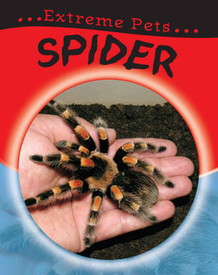 Book cover for Spider