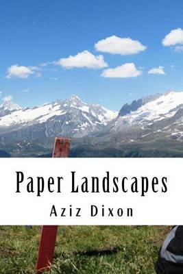 Book cover for Paper Landscapes
