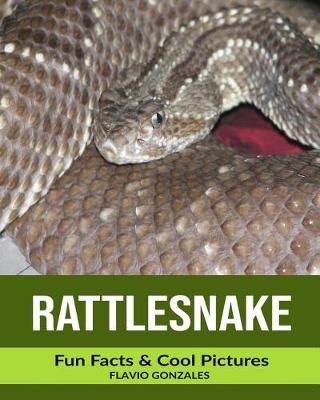 Book cover for Rattlesnake