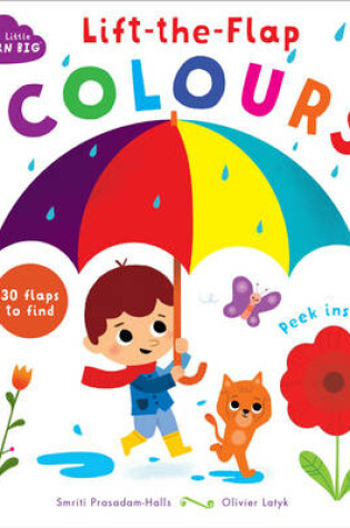 Cover of Start Little Learn Big Lift-the-Flap Colours