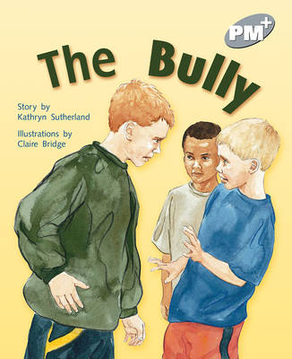 Book cover for The Bully