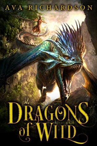 Cover of Dragons of Wild