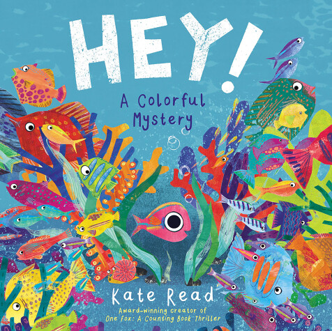 Cover of Hey! A Colorful Mystery