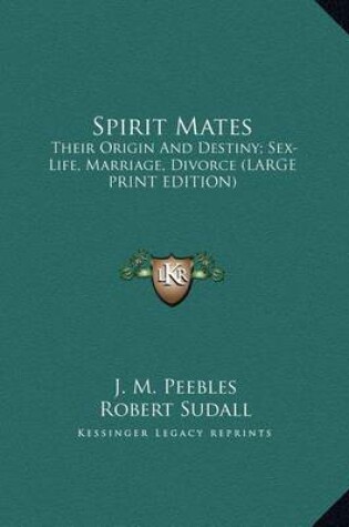 Cover of Spirit Mates