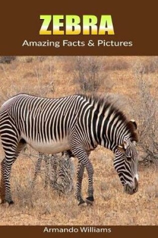 Cover of Zebra