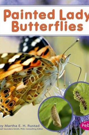 Cover of Painted Lady Butterflies