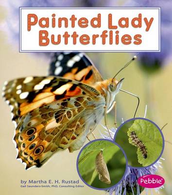 Book cover for Painted Lady Butterflies