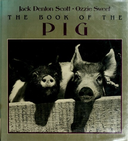 Book cover for The Book of the Pig