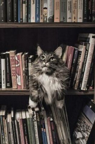 Cover of Maine Coon Cat Guarding the Library