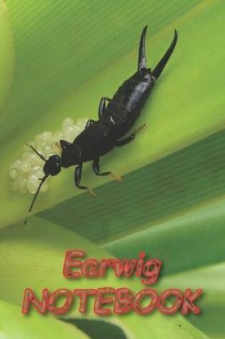 Cover of Earwig NOTEBOOK