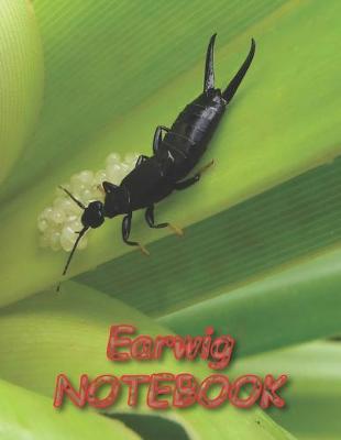 Book cover for Earwig NOTEBOOK