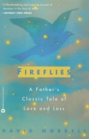 Book cover for Fireflies