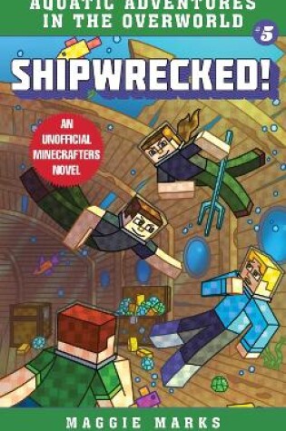 Cover of Shipwrecked!