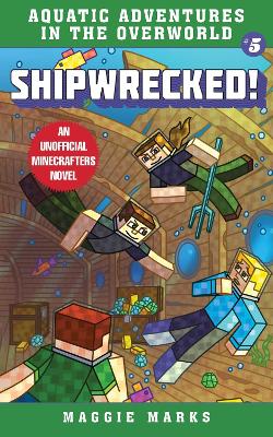 Cover of Shipwrecked!