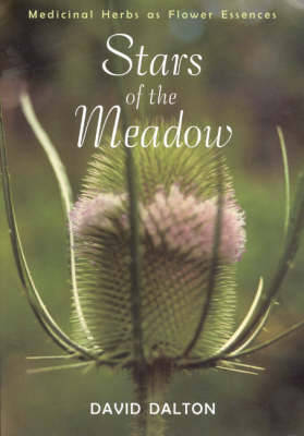 Book cover for Stars of the Meadow