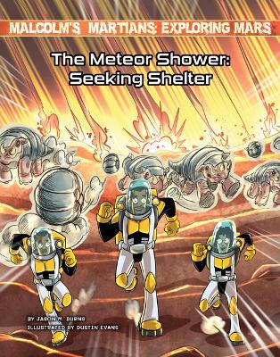 Book cover for The Meteor Shower: Seeking Shelter