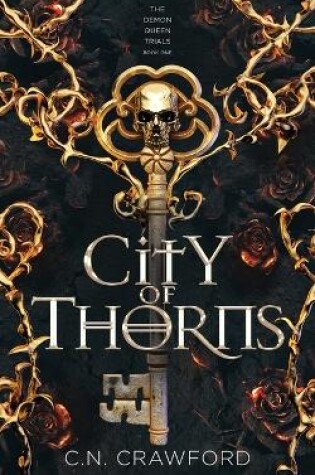 Cover of City of Thorns