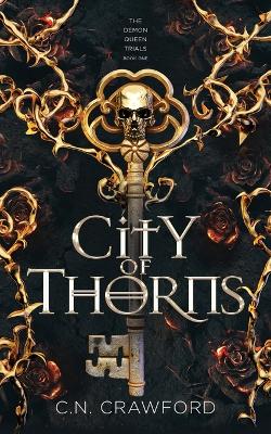 Book cover for City of Thorns