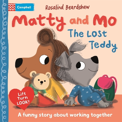 Cover of The Lost Teddy