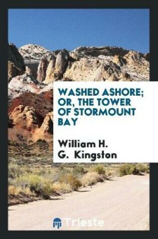 Cover of Washed Ashore; Or, the Tower of Stormount Bay