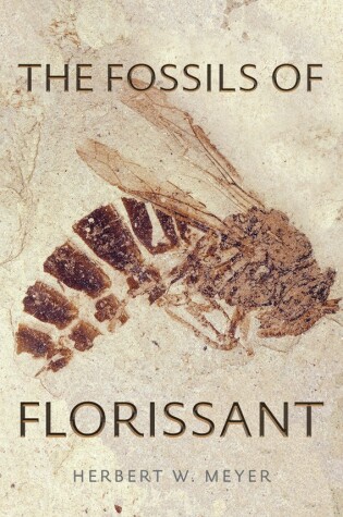 Cover of The Fossils of Florissant