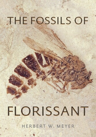 Book cover for The Fossils of Florissant