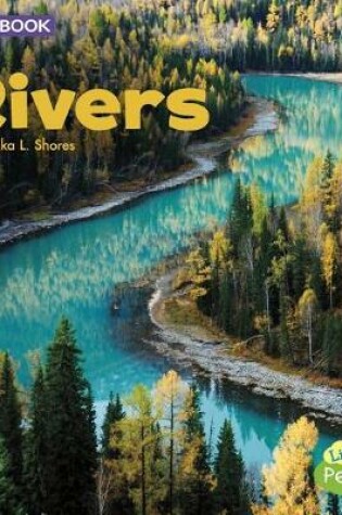 Cover of Rivers: a 4D Book (Bodies of Water)