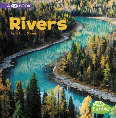 Book cover for Bodies of Water Rivers a 4D Book