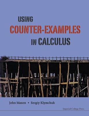 Book cover for Using Counter-examples In Calculus