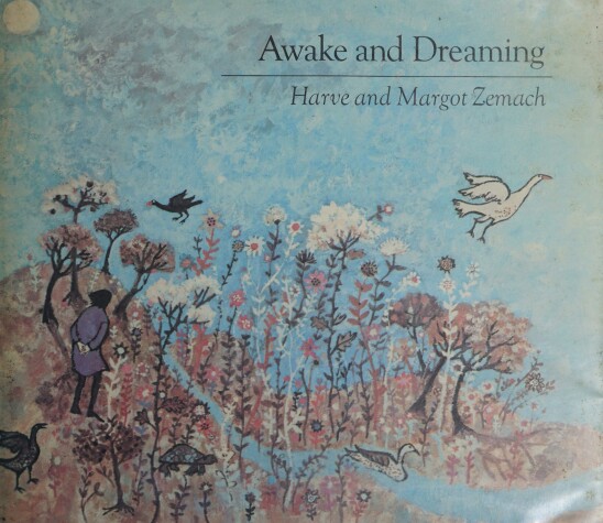 Book cover for Awake and Dreaming