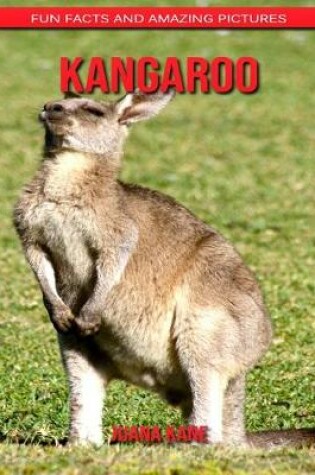 Cover of Kangaroo