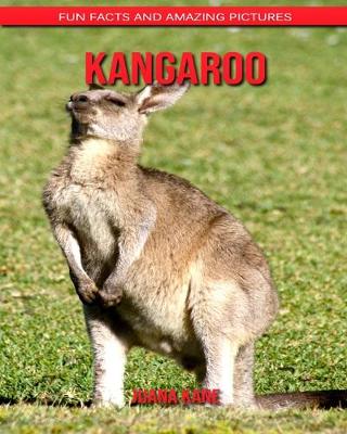 Book cover for Kangaroo