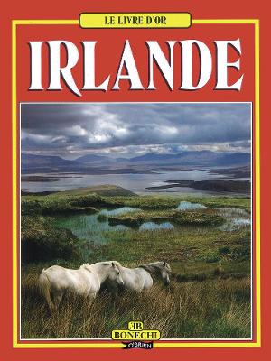 Book cover for Le Livre d'Or Irlande