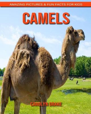 Book cover for Camels