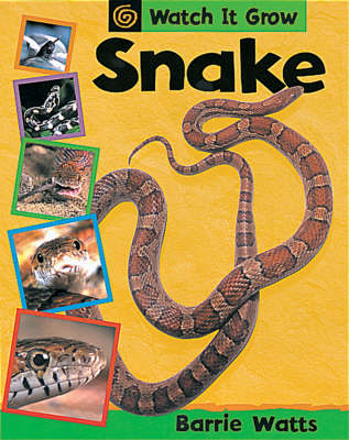 Book cover for Snake