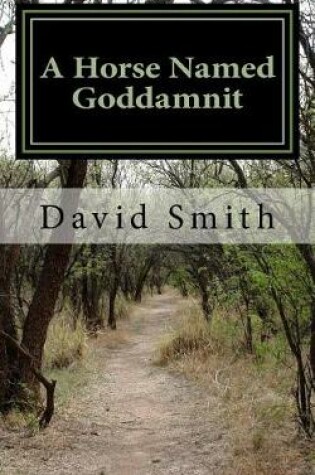 Cover of A Horse Named Goddamnit