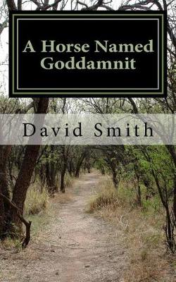 Book cover for A Horse Named Goddamnit