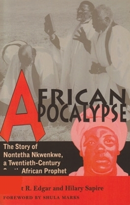 Book cover for African Apocalypse