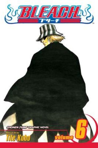 Cover of Bleach, Vol. 6