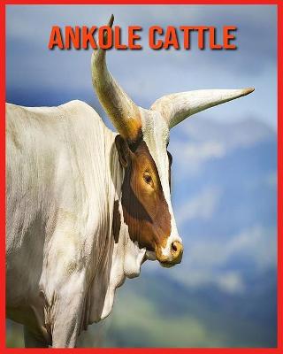 Book cover for Ankole Cattle