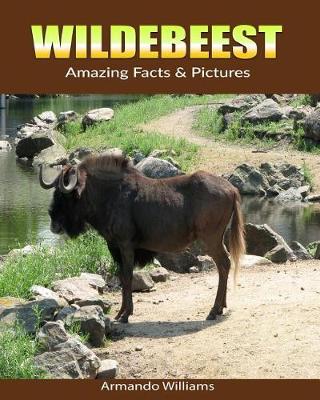 Book cover for Wildebeest