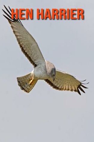 Cover of Hen Harrier