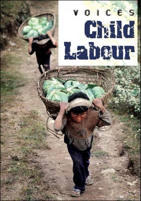 Book cover for Child Labour