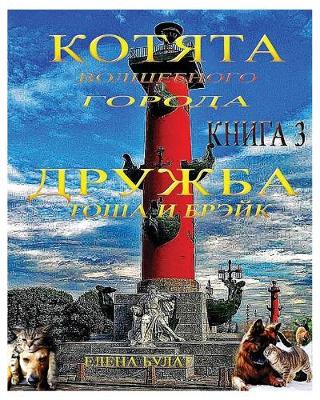 Book cover for Котята Волшебного Города. Дружба. Тоша и Бр&#1