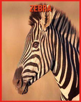 Book cover for Zebra