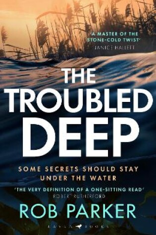 Cover of The Troubled Deep