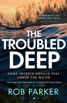 Book cover for The Troubled Deep