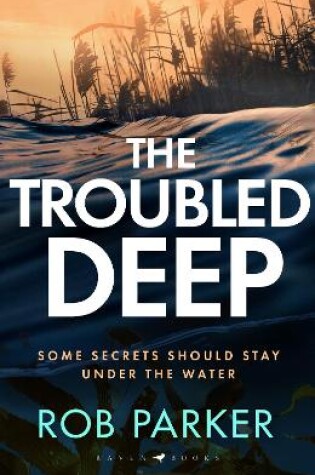 Cover of The Troubled Deep