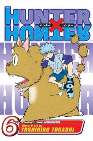 Cover of Hunter x Hunter, Vol. 6