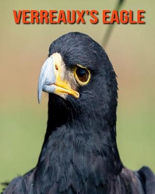 Book cover for Verreaux's Eagle